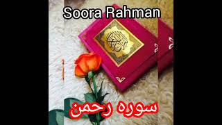 soora Rahman Tilawatसूरह रहमान तिलावतquraantilawat subscribe mmrazvi4467 [upl. by Alister364]