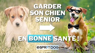 Avoir un VIEUX chien en bonne SANTÉ [upl. by Ardni]