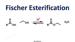 Fischer Esterification [upl. by Doll840]