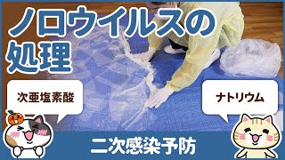 嘔吐物処理の正しい方法を学んで感染症対策をしよう｜みんなの介護求人 [upl. by Tildie]