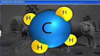 CBSE Class 11 Biology  2  Biological Classification  Full Chapter  NCERT Animation  JEE NEET C [upl. by Dannon]