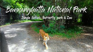 BANNERGHATTA NATIONAL PARK Jungle Safari amp Zoo  Butterfly Park  Bangalore vlog  Must visit places [upl. by Teuton]