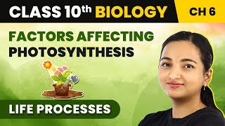 Class 10 Biology Chapter 6  Factors Affecting Photosynthesis  Life Processes [upl. by Otilesoj59]