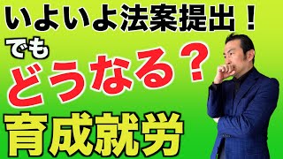 【新たな外国人労働者受入れ制度】いよいよ法案提出！どんな仕組みになるのかを徹底解説します [upl. by Liu]