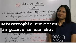 Heterotrophic nutrition in plants science sciencefacts education study [upl. by Eppes]