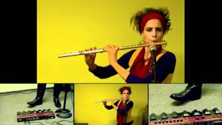 Thunderstruck flute cover [upl. by Anos556]