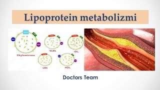 Lipoprotein metabolizmi [upl. by Nylaras]