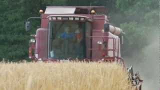 Harvest 2012 in France [upl. by Steep]