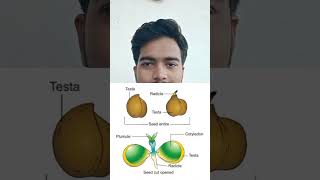 Fundamental defferens bw monocot Dicot seeds biology [upl. by Hsekar]