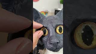 Making my cat into a cake youtubepartner shorts [upl. by Adamik]