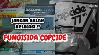 JANGAN SALAH ❌ Aplikasi Fungisida Copcide 77WP  Bahan Aktif Tembaga Hidroksida 77 [upl. by Naillig]