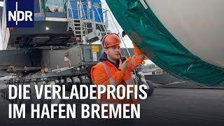 Groß schwer und sperrig  Die Verladeprofis im Hafen Bremen  Die Nordreportage  NDR Doku [upl. by Raseda]