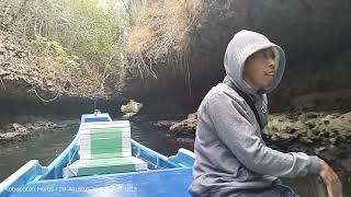 04 Tour Wisata Rammang  Rammang [upl. by Atalayah]