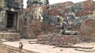 Lopburi Monkeys [upl. by Nairdad295]