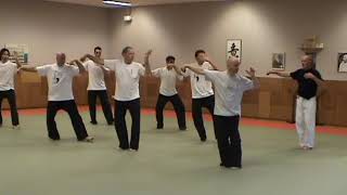 TAI CHI KATA TaiKI Team in ALO Naamloos2 [upl. by Grover]