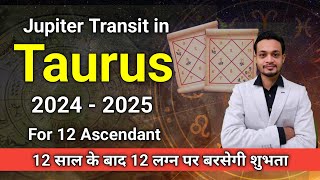 Jupiter Transit in Taurus 2024 2025 effect on all 12 ascendant [upl. by Buffo]