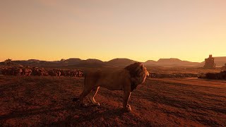 Animalia Survival  Adventure of a Cub to Full Grown Lion [upl. by Abas512]