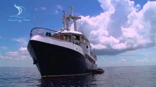 Tubbataha Safari  Discovery Fleet Palawan [upl. by Adnauqahs]