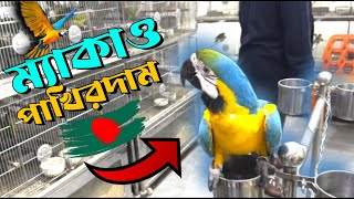 মাকাও পাখির দাম কত ‌।। Macaw bird price in bangladesh [upl. by Pardoes]