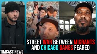 Chicago Gangs Threaten WAR Against Venezuelans Illegal Immigrant Gangs WAR IS COMING [upl. by Elinnet]