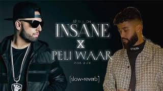 Insane X Peli Waar  ftap dhillon and imran khan  slowreverblofi mix 🎶 [upl. by Akeylah34]