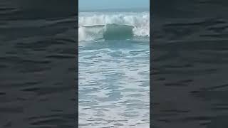 🌊MAGNIFIQUES VAGUESREELS PLAGE OCEANLIFE VLOGS SHORTS MIMIZAN OCÉAN [upl. by Bunch487]