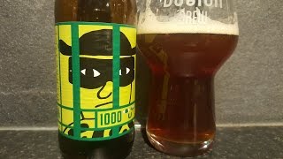 The Worlds Hoppiest Beer Mikkeller 1000 IBU Imperial IPA [upl. by Worthington]