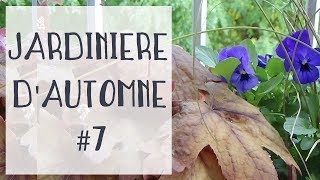 Tuto jardinage  Jardinière dautomne 7 Heuchères Carex amp Viola cornuta [upl. by Emad]