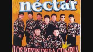 Grupo Nectar  Perdonala amigo [upl. by Flagler]