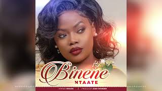 BINENE OFFICIAL AUDIO BY NTAATE [upl. by Meihar954]