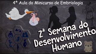 Minicurso de Embriologia  Aula 04  Segunda Semana do Desenvolvimento Humano [upl. by Lion]