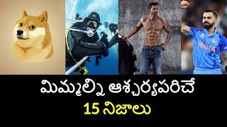 Top 15 Unknown Facts in Telugu Interesting and Amazing Facts  Part 171  Minute Stuff [upl. by Edya]