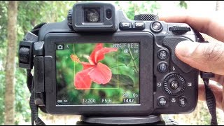 How to blur Background Nikon coolpix Camera B700 P1000 P900 B500 Manual Mode Tutorial [upl. by Jeggar]