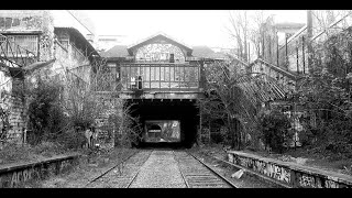 Petite Ceinture Paris [upl. by Siletotsira125]