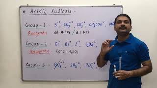 NEET  JEE mains 2024 ANION Detection STEPWISE in 15 minutes class 11 and 12 Chemistry Practical [upl. by Werby964]