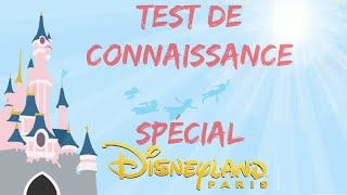 Le test de connaissance Disneyland Paris  avec Tibiscuit Hebus Val et Boba [upl. by Eisle]