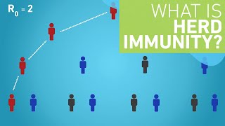 What is Herd Immunity [upl. by Nosral]