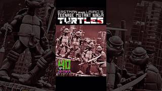 NECA Teenage Mutant Ninja Turtles Mirage Comic 1984 Showcase shorts [upl. by Yekciv]