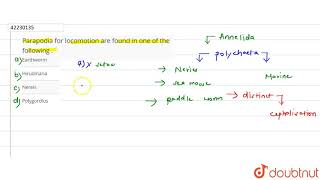 Parapodia for locomotion are found in one of the following [upl. by Sharline]