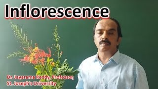 Inflorescence Types Plant Taxonomy Dr Jayarama Reddy St Josephs University Bengaluru India [upl. by Akirehs]