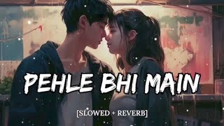 Pahle Bhi Main Slowed Reverb Vishal Mishra Animal  Iam raaja Lofi songs 🎧 tseries [upl. by Nagoh]