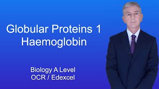 Globular Proteins  Alevel Biology  OCR AQA Edexcel [upl. by Harris852]