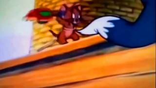 Tom amp Jerry Full Episodes IN Bangla Tom amp Jerry Cartoon HD [upl. by Ihtak]