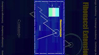 Fibonacci Extension Tools in Tamil  Fibonacci Trading Strategy  Fibonacci Series fibonacci [upl. by Coffee690]