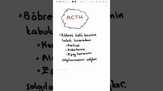 ACTH AYT BİYOLOJİ [upl. by Martreb782]