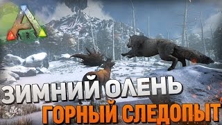 ARKSURVIVAL EVOLVED  ЗИМНИЙ ОЛЕНЬ ГОРНЫЙ СЛЕДОПЫТ11 [upl. by Nahtanoy]