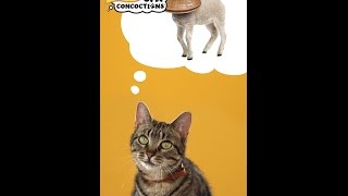 Cat Concoctions® Wet Cat Food  Friskies® Commercial 30 [upl. by Ainedrag]