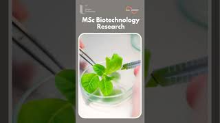 MSc Biotechnology Research biotechnology biology bioscience research ukstudyvisa biochemistry [upl. by Shreeves]