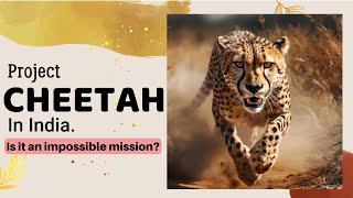 Project Cheetah  Is it an impossible mission  What’s causing deaths of Cheetah’s  UPSC [upl. by Eiten]