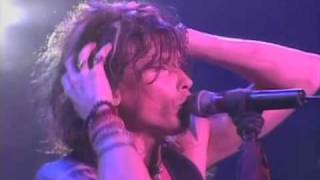 Aerosmith  I Dont Want to Miss A Thing Live in Japan [upl. by Nedyah]